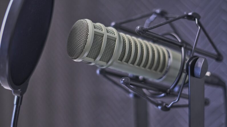 Photo Podcast microphone