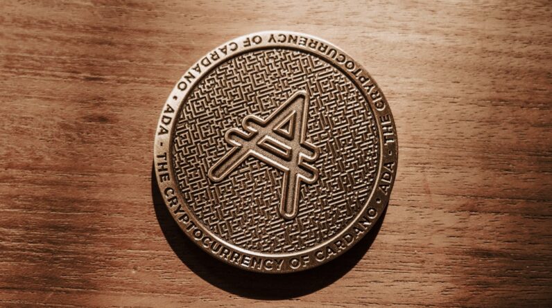 Photo Affiliate pins