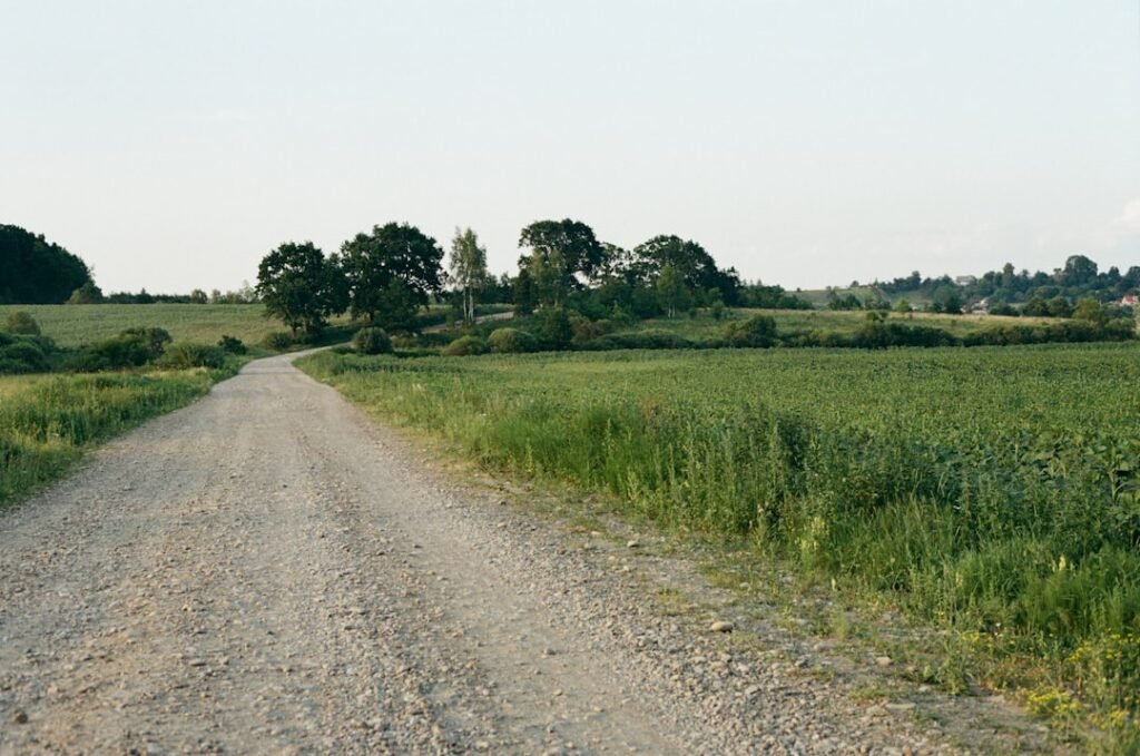 Photo Affiliate landscape