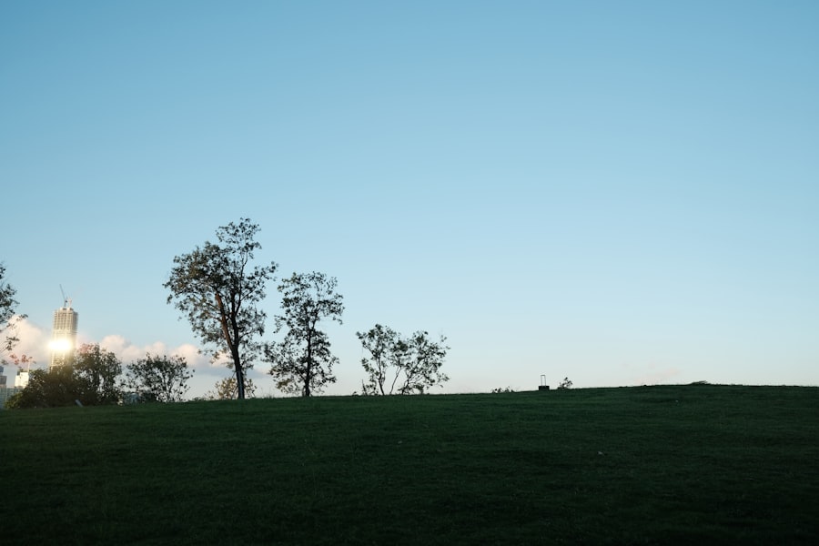 Photo Affiliate landscape