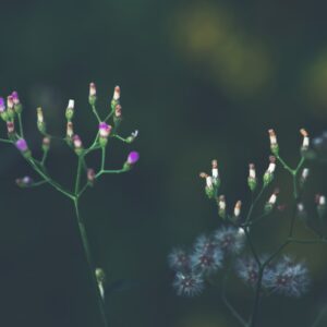 Photo Social media post