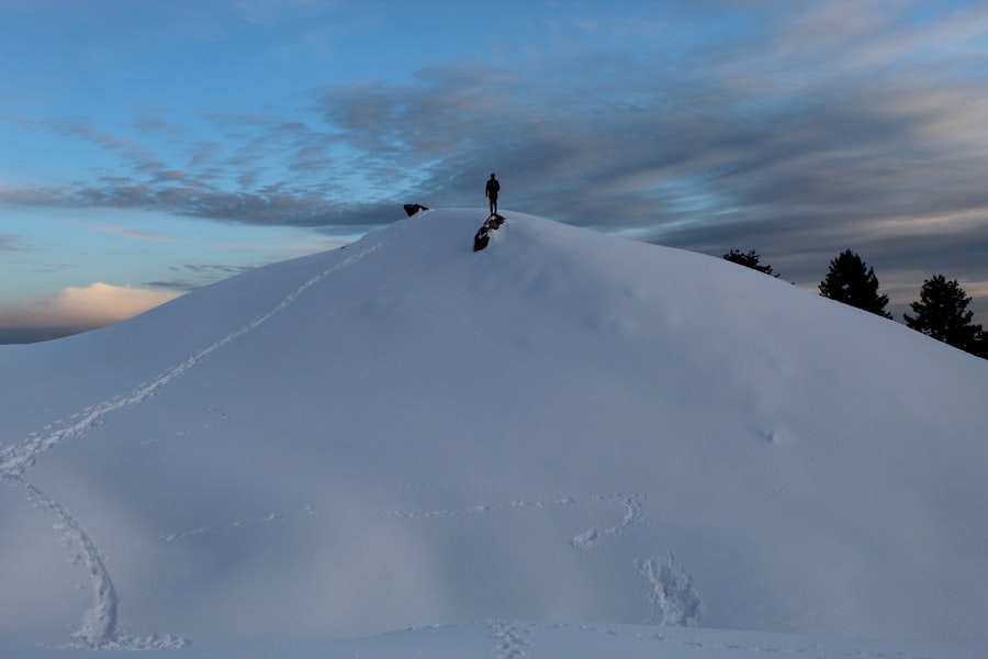 Photo Virtual Summit