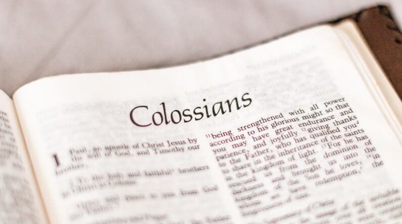 Photo Disclosure statement