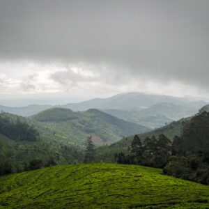 Photo Motivational Quotes